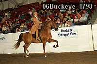 06buckeye_1798 thumbnail