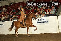 06buckeye_1798 thumbnail