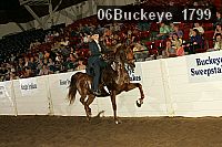 06buckeye_1799 thumbnail