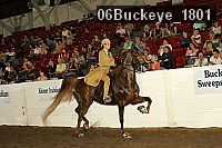 06buckeye_1801 thumbnail