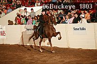 06buckeye_1803 thumbnail