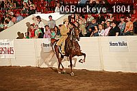 06buckeye_1804 thumbnail