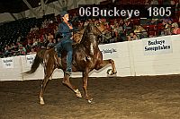 06buckeye_1805 thumbnail