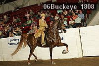 06buckeye_1808 thumbnail