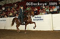 06buckeye_1809 thumbnail