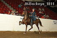 06buckeye_1811 thumbnail