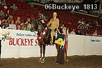 06buckeye_1813 thumbnail