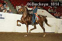 06buckeye_1814 thumbnail