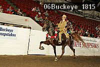 06buckeye_1815 thumbnail