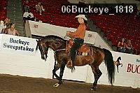 06buckeye_1818 thumbnail