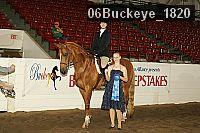 06buckeye_1820 thumbnail