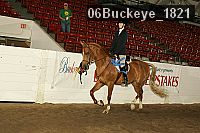 06buckeye_1821 thumbnail