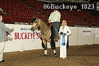 06buckeye_1823 thumbnail