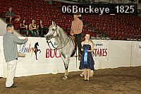 06buckeye_1825 thumbnail