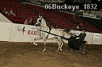 06buckeye_1832 thumbnail