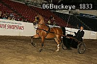 06buckeye_1833 thumbnail