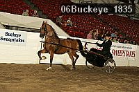 06buckeye_1835 thumbnail