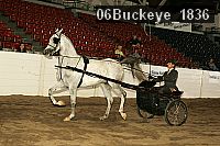 06buckeye_1836 thumbnail