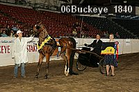 06buckeye_1840 thumbnail