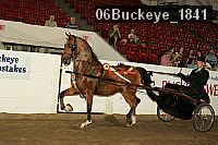 06buckeye_1841 thumbnail