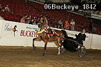 06buckeye_1842 thumbnail