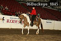 06buckeye_1845 thumbnail