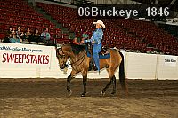 06buckeye_1846 thumbnail