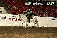 06buckeye_1847 thumbnail