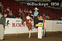 06buckeye_1850 thumbnail