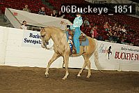 06buckeye_1851 thumbnail