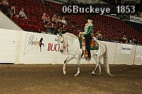 06buckeye_1853 thumbnail