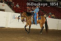 06buckeye_1854 thumbnail