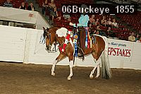 06buckeye_1855 thumbnail