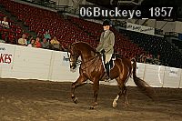 06buckeye_1857 thumbnail