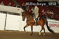 06buckeye_1858 thumbnail