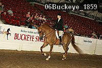 06buckeye_1859 thumbnail