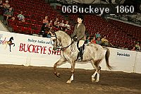 06buckeye_1860 thumbnail