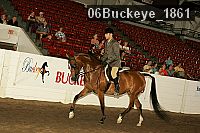 06buckeye_1861 thumbnail