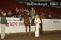 06buckeye_1862 thumbnail