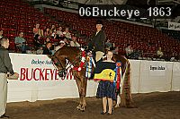 06buckeye_1863 thumbnail