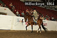 06buckeye_1864 thumbnail