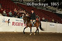 06buckeye_1865 thumbnail