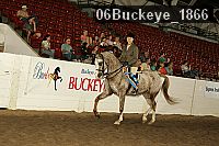 06buckeye_1866 thumbnail