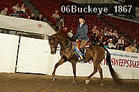 06buckeye_1867 thumbnail