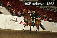 06buckeye_1868 thumbnail