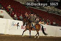 06buckeye_1869 thumbnail