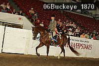 06buckeye_1870 thumbnail