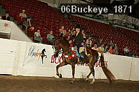 06buckeye_1871 thumbnail