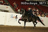 06buckeye_1873 thumbnail