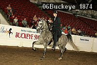 06buckeye_1874 thumbnail